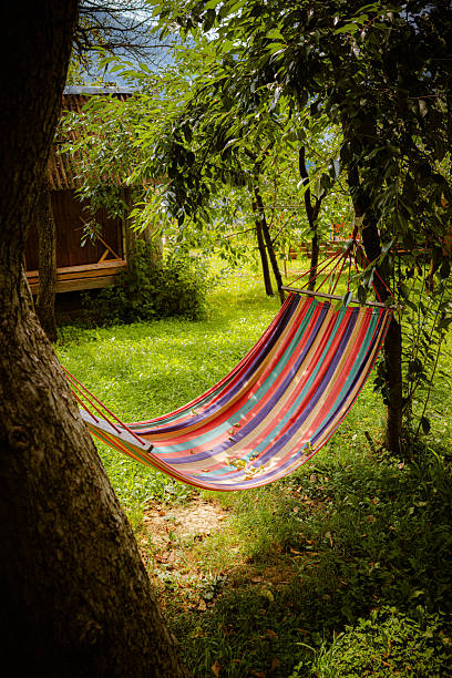 A colorful hammock hanging between trees in a green garden on a sunny summer day. The peaceful backyard setting with lush grass and foliage creates a relaxed atmosphere of slow living, comfort, and outdoor leisure.