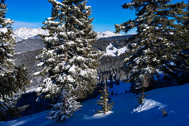 Scenic views from Vail Mountain, Vail, Colorado USA in winter on sunny blue sky day.