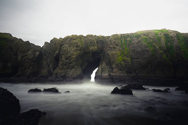Rocky cliffs and layered coastal rock formations rise above calm ocean water along the Oregon shoreline in the Pacific Northwest. Evergreen trees crown the rugged headland while mist and soft light emphasize the natural textures, geology, and tranquil coastal atmosphere.