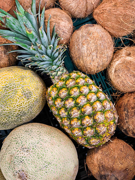 Tropical Fruits Still Life with Pineapple and Coconut