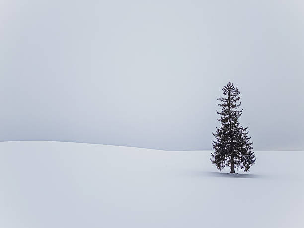 Famous Christmas Tree in snowy minimalist landscape with copy space, BieiMinimalist winter landscape featuring the famous Christmas Tree standing alone in a vast snow-covered field under an overcast sky with abundant copy space. Biei
