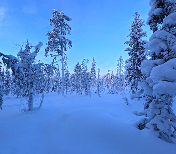 Heavy winter snow and frigid temperatures mix to create stunning winter scenes in Interior Alaska. Glennallen, Alaska is a winter wonderland.