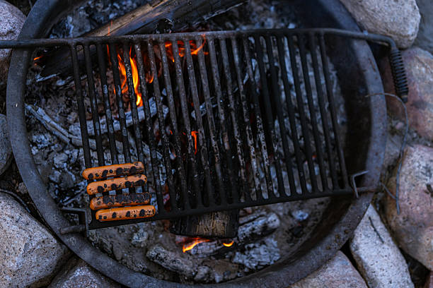 Hot dogs cook on a metal grate above an open campfire at a forest campsite in Idaho.