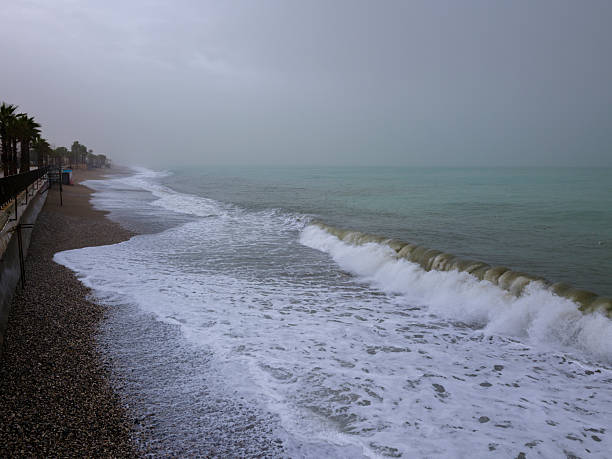 Peaceful winter coastline with sea view