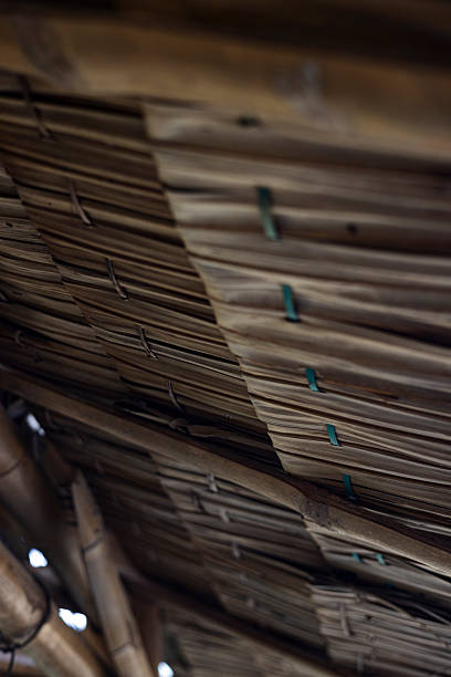 Palm Leaf Sunshade Roof On Bamboo House, A rustic photo of palm leaf sunshade roof, layered dried fronds woven over bamboo frame, perfect for eco living or traditional village documentary.