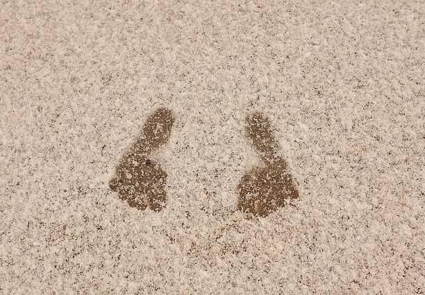 Shallow footprints trail through fine white salt sand, illuminated by a warm light, creating a serene and minimalist composition.