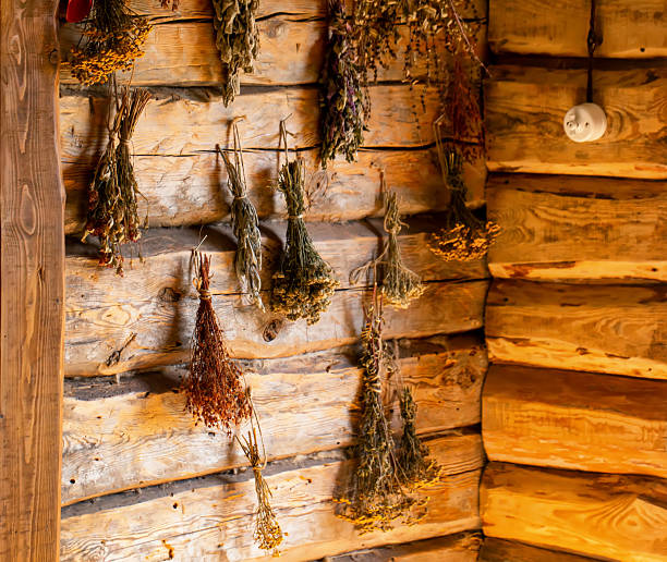 Medicinal herbs in a rustic herbalist's shop against a wooden log wall. Nettle, thyme, and fireweed.