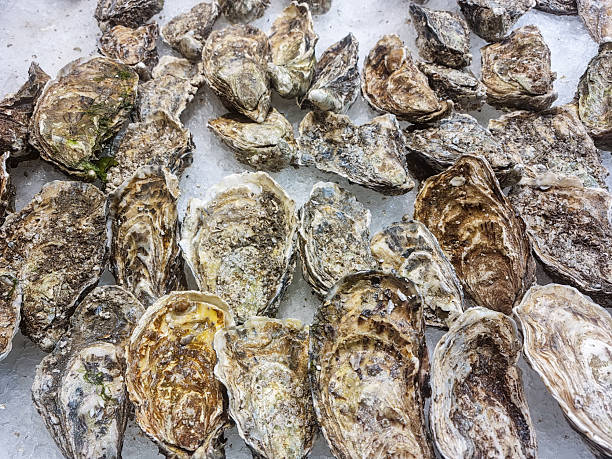 Oysters background at fish market
