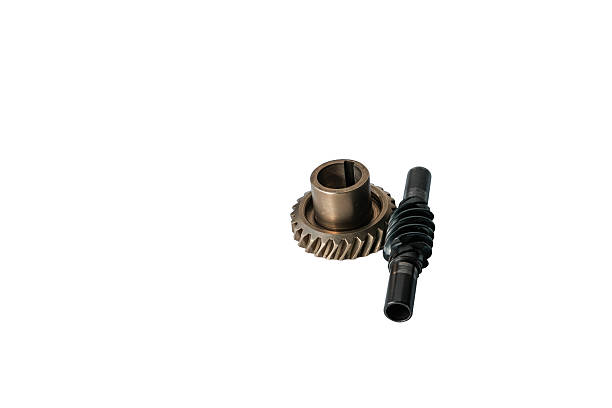 Worm gear drive component for industrial automation and robotics systems on white background. Clean isolated shot with detailed visibility of gear tooth geometry and shaft interface.
