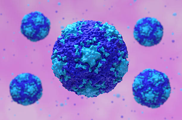 The rhinovirus is a positive-sense, single-stranded RNA virus belonging to the genus Enterovirus in the family Picornaviridae. Rhinovirus is the most common viral infectious agent in humans and is the predominant cause of the common cold, causing at least 50% of cold infections.
