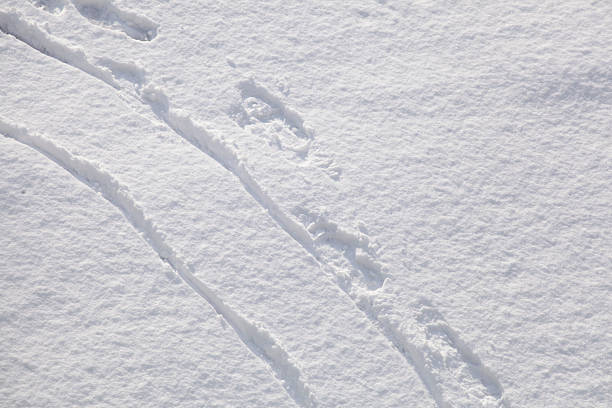 Footprints in the snow, Germany