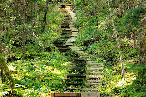 Old and weathered stairs by the coast in Norway.