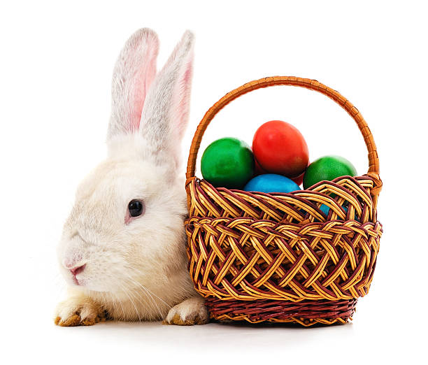 Free picture: A cute white Easter bunny with a basket of colorful eggs ...