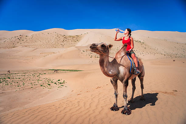 A woman in a red tank top sits astride a camel on sun-baked sand dunes, drinking from a water bottle under a clear blue sky. Rippling sand patterns and sparse vegetation stretch across the landscape, while a few distant camels graze near a small patch of green. The scene conveys the scale and heat of the desert with strong sunlight casting defined shadows.
