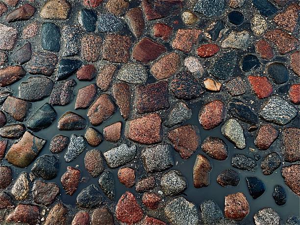 Wet cobblestone surface with glossy texture reflecting light, creating a natural, rugged aesthetic. Ideal for backgrounds, textures, or design elements.