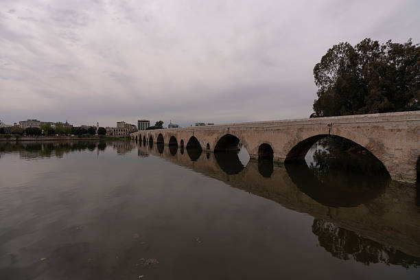 A historic stone arch bridge over the Seyhan River in Adana.