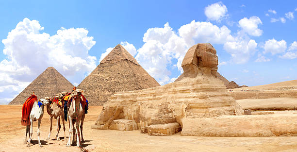 Camels, Great Sphinx and pyramids of Chephren and Cheops, Cairo, Egypt. Great Pyramids and statue of Sphinx, Giza complex. Topic of summer vacation, travel, trip abroad on vacation, cruises and tours