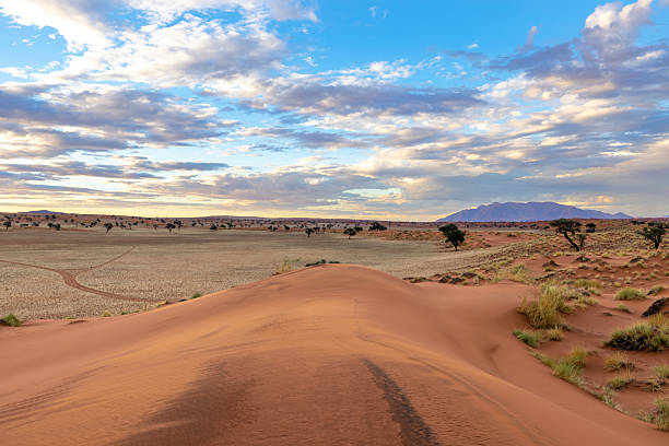 istock Wind-swept red sand dune in Namibrand NR Namibia 2261478763