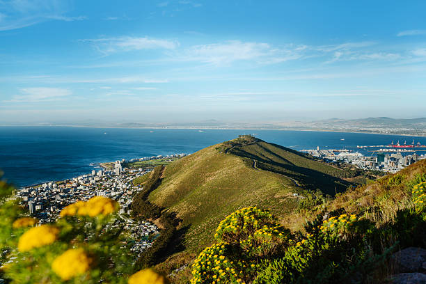 View from Table Mountain National Park to Cape Town and the flower Watsonia tabularis, a bud of red-pink flower growing on a rock, South Africa.