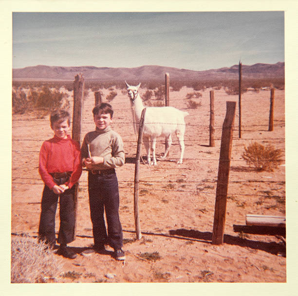Shots of me and my twin brother from the mid 1960s. This was Antelope Valley in Southern California.