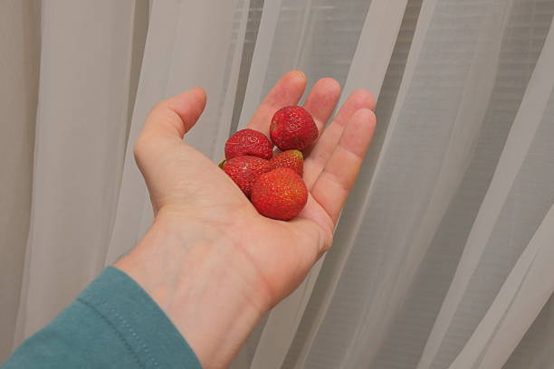 Beautiful strawberries on a white ,plate and table of different sizes 1 A man holds a berry product in his hand on a light background