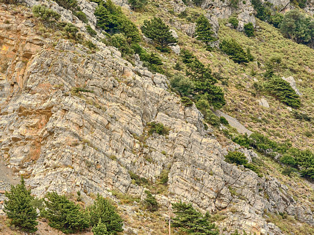 Crete, Greece features a rugged hillside carved by rocky cliffs and scattered pine trees. This nature image captures the raw beauty of Mediterranean terrain, ideal for outdoor, travel, and geological themes. The layered rock formations and green shrubs convey rugged adventure and natural serenity in a Greek landscape.