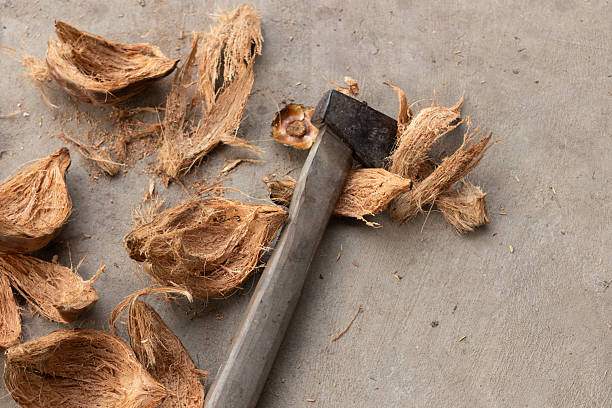 A still life photo of manual agricultural tools used for processing coconuts. This image explores themes of hard labor, raw materials, and rural industry in tropical regions