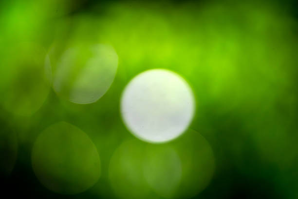 White golf ball and tee on black background. Close up.