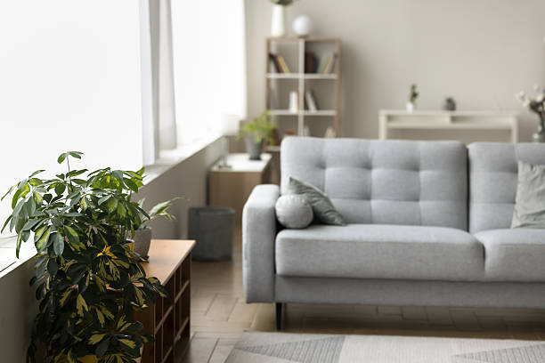 istock Home interior design light comfy empty living room without people 2261544245