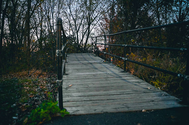 Wooden bridge leading into a dark forest with autumn trees and changing light