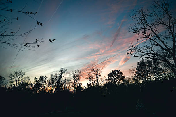 Colorful sky at sunset with tree silhouettes outlining the horizon