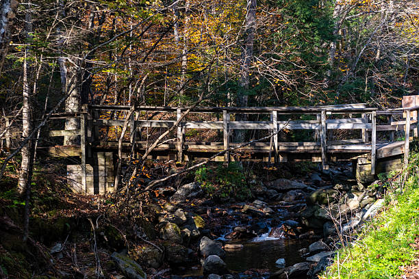 Vermont Rte 100 view. Moss Glen Falls, Vermont, USA.