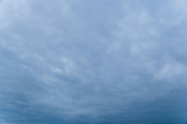 I took this photo of a cold winter morning with a gloomy, overcast sky.