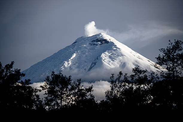 Snowcapped volcano and smoke plume, Mt Chimborazo, Ecuadorian Andes from Refugio de Vida Silvestre Pasochoa