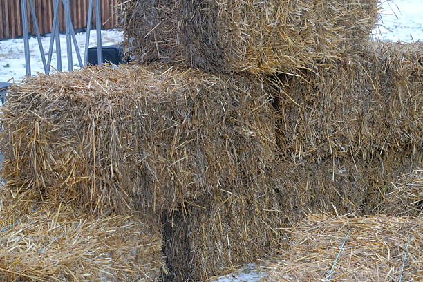 Close-up view of round hay bale
