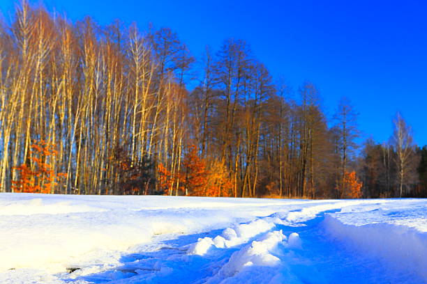 Winter view of the Pisa Valley