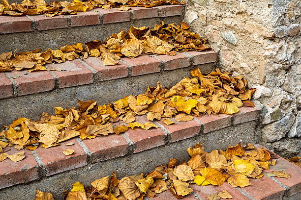 A staircase with red brick steps covered in fallen yellow and brown leaves during the autumn season in a park.