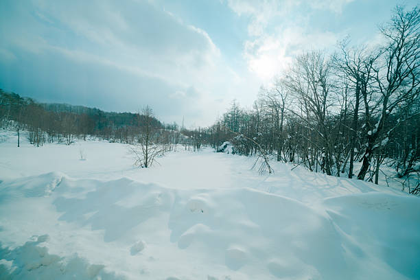 Beautiful icicles and snowy scenery in Mahora Iwate