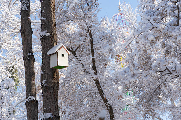 White birdhouse with green base and snowy roof mounted on tree trunk, set in a serene forest with amusement ride in background