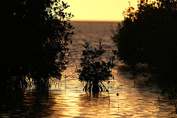Islamorada in the Florida Keys aerial photos and Marinas, Sunsets, Yachts, Beaches and Lighthouses in the Florida Bay.