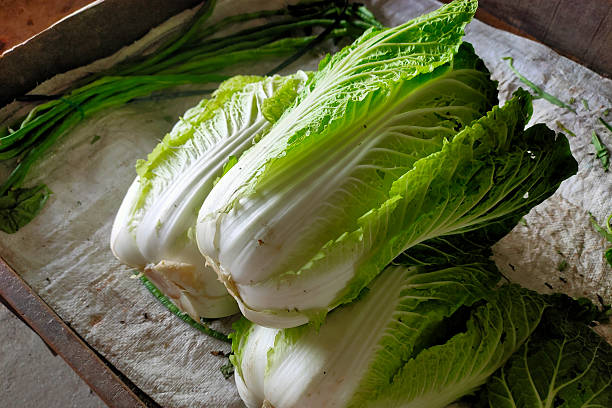 Fresh Napa Cabbage on Local Market Stall