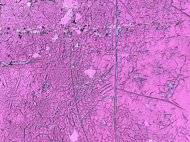Close-up of cracked and peeling pink paint on a rough surface. The intricate pattern and texture create an abstract, artistic background with a sense of decay and age.