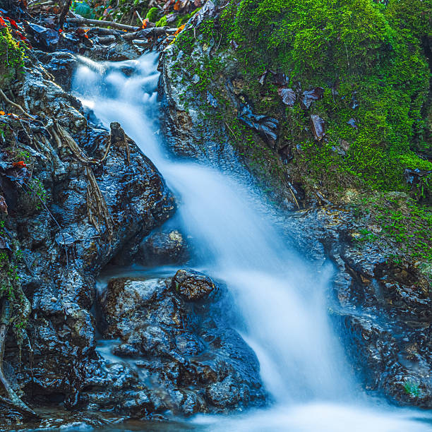 Water runs steadily over smooth stones in a wooded area. The light filters through tree branches, showing various shades of green and brown of the landscape.
