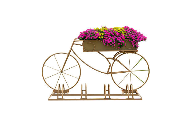 bicycle parking with flowers isolated on white background