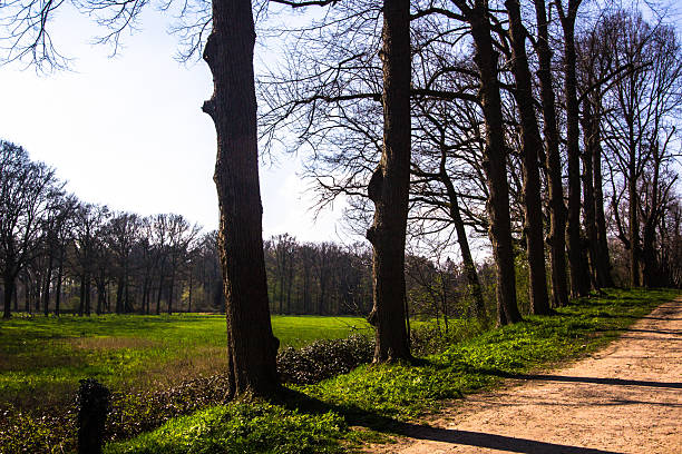 Picturesque landscape in the Achterhoek. Hiking trail through the park, which is surrounded with meadows.