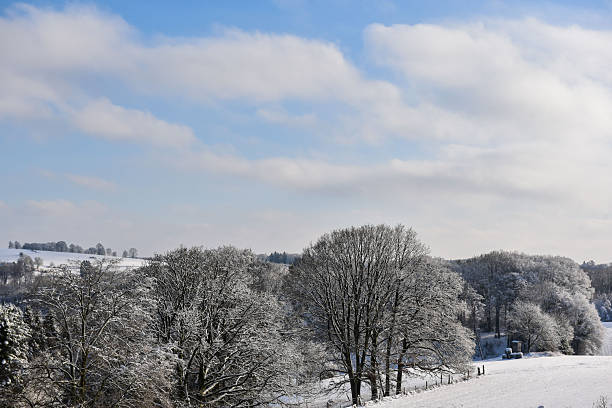 Snow-covered winter trees and fields under blue sky with clouds in countryside.