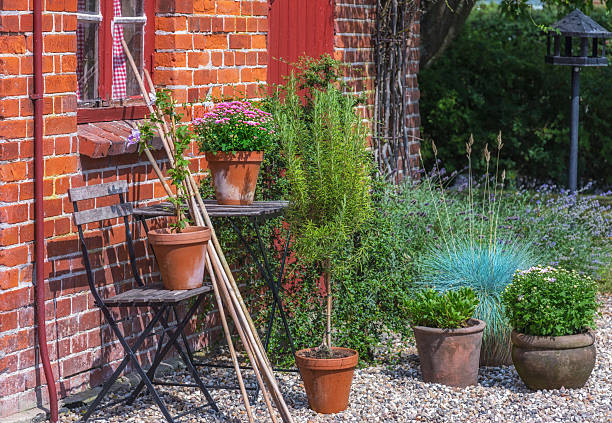 A picturesque scene of a rustic Danish courtyard garden featuring vibrant potted plants like Lavandula, Leucanthemum, and ornamental grasses. The idyllic ambiance reflects beauty, nature, and the charm of Denmark's countryside.