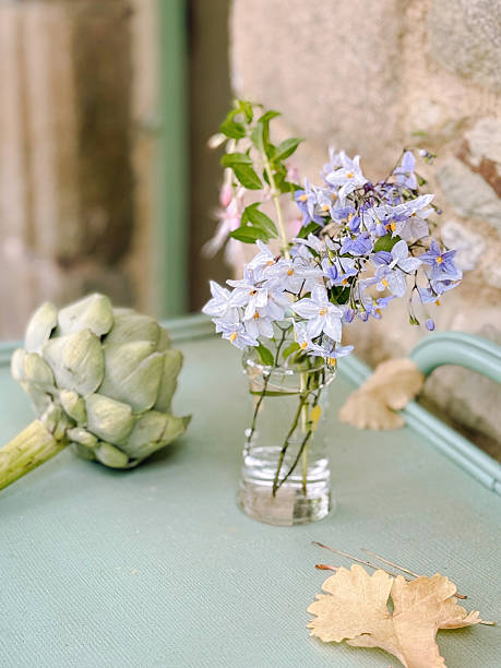Artichoke and delicate blue wildflowers arranged in a small glass jar on a green tabletop against a stone wall. Rustic still life with natural light and soft color palette.