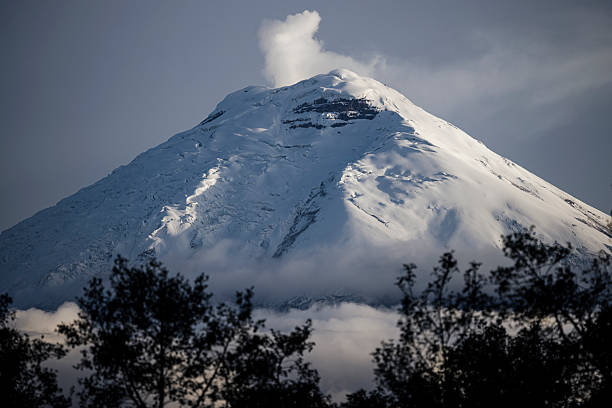 Snowcapped volcano and smoke plume, Mt Chimborazo, Ecuadorian Andes from Refugio de Vida Silvestre Pasochoa