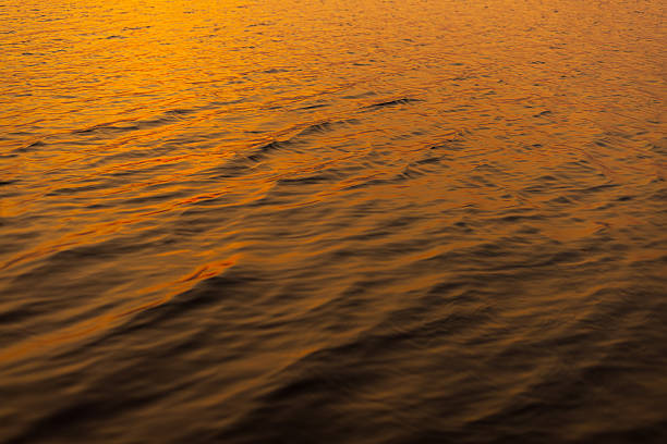 High angle view of calm water ripples illuminated by the warm golden light of a sunset, creating a beautiful abstract texture and peaceful atmosphere.